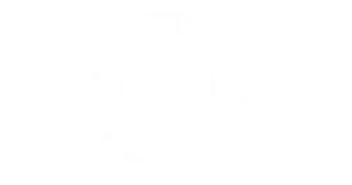 BMW-logo.webp