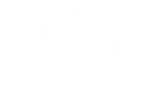 volkswagen-logo.webp